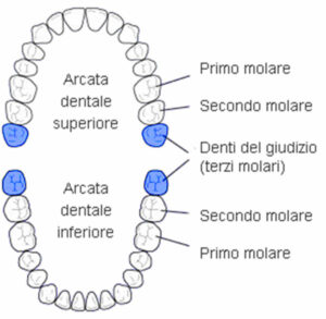 denti del giudizio