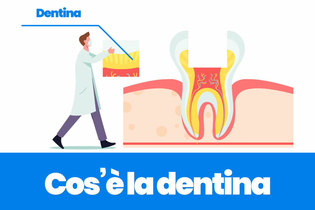 cos'è la dentina e come proteggerla