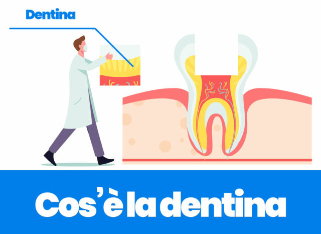 cos'è la dentina e come proteggerla